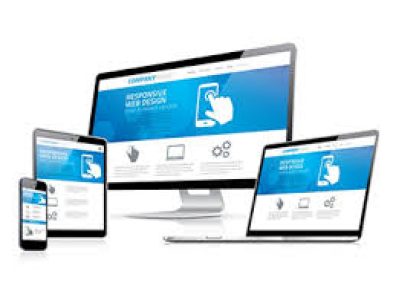 Professional web development service